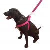 Pechera tipo arnés para Perro Grande Fucsia